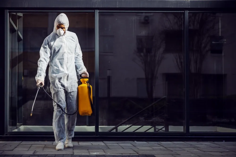 Dedetizadora Tijuca | Descupinização | Controle de insetos | RJ