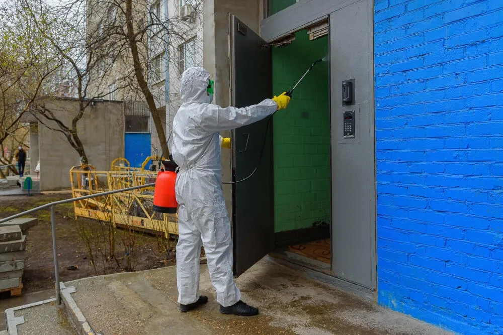 Dedetizadora Méier | Dedetizadora Ilha | Rio de Janeiro