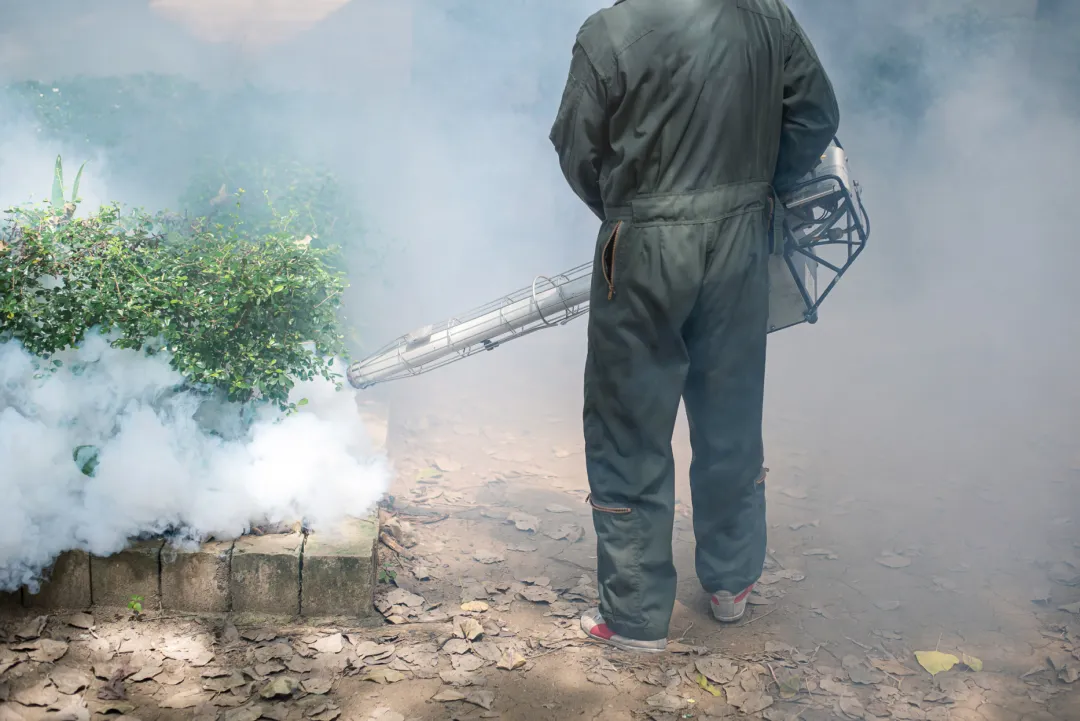 Serviços de Termonebulização, Atomização, Nebulização e FOG contra Dengue