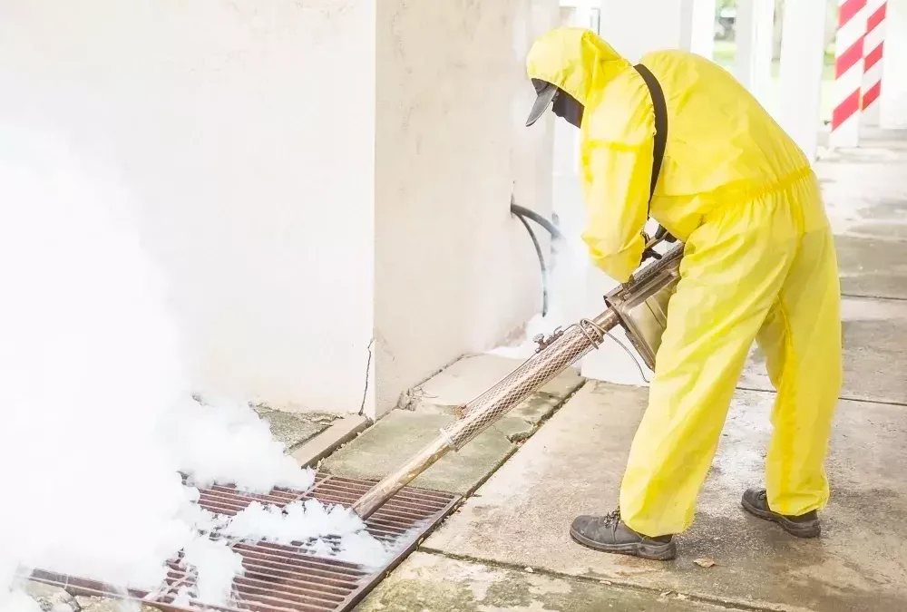 Controle de Mosquitos: Estratégias Eficazes para Reduzir a Propagação de Doenças