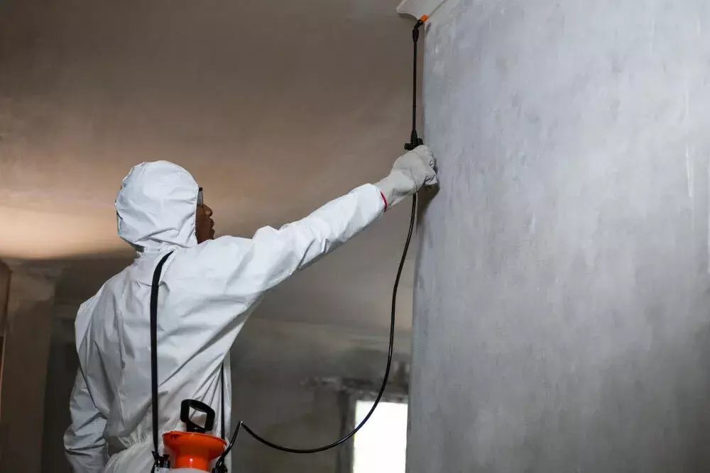 Controle de pragas em edifícios: soluções integradas para proteção do patrimônio
