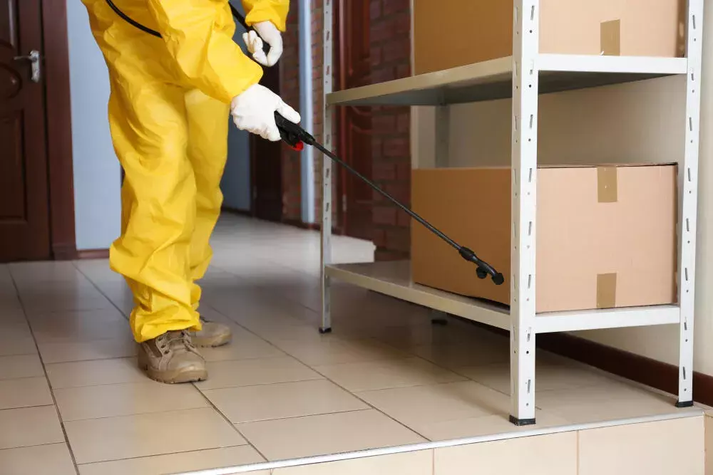 Dedetização em prédios comerciais: a importância para o ambiente de trabalho