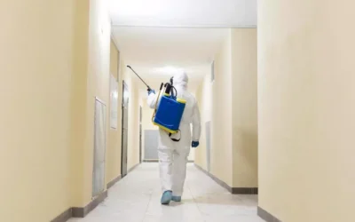 Investimento em dedetização: proteção com ótimo custo-benefício