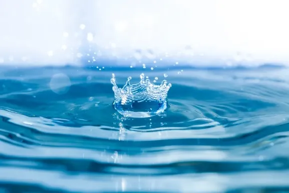 Dedetizadora RJ | Desinsetização, Descupinização e Desratização - RJ