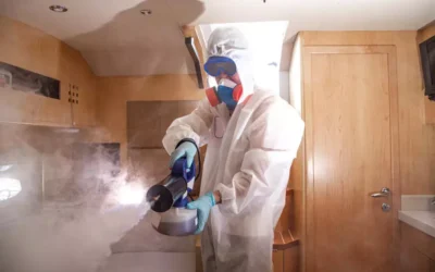 Dedetização preventiva: como economizar a longo prazo?