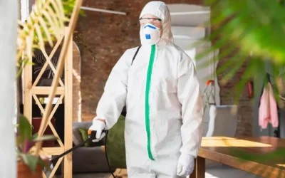 Preço da dedetização: vale a pena economizar no serviço?