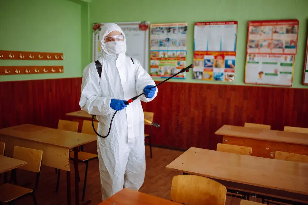 Dedetizadora no Recreio para escolas e creches: exigências legais e sanitárias