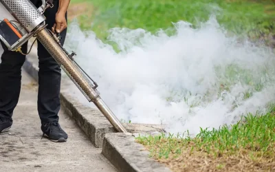 Desinsetização no Recreio dos Bandeirantes: Dicas para Escolher a Melhor Empresa de Controle de Pragas