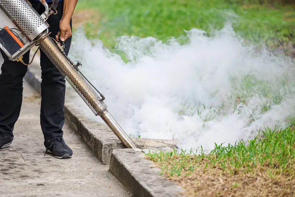 Desinsetização no Recreio dos Bandeirantes: Dicas para Escolher a Melhor Empresa de Controle de Pragas